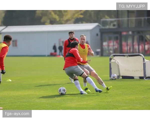 阿瑙托维奇职业轨迹:从英超到中超,状态持续提升 阿瑙托维奇职业轨迹:从英超到中超,状态持续提升